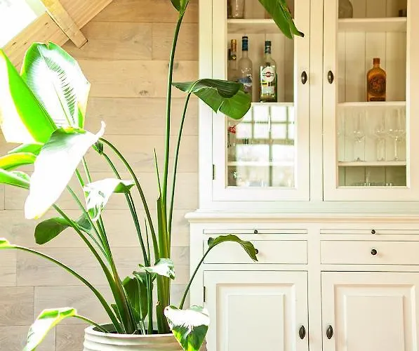 Stroeckmanhoeve 公寓 *