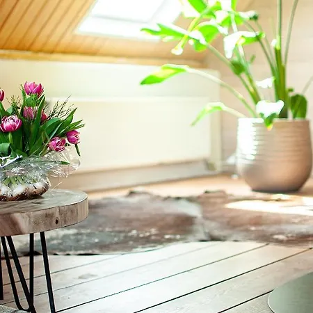 Stroeckmanhoeve * Neede