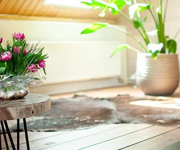 Stroeckmanhoeve * Neede